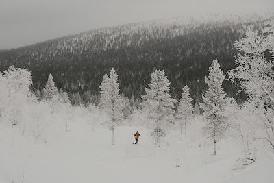 Paysage enneigé de Laponie finlandaise - Finlande