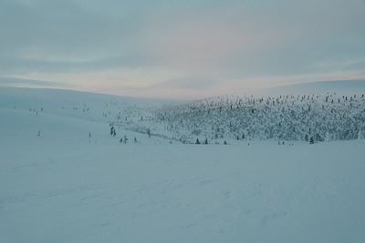 Paysage enneigé de Laponie finlandaise - Finlande