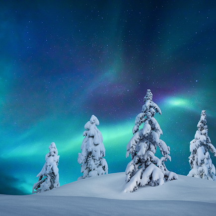 Multi-activités Finlande Laponie finlandaise