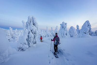 Forêt enneigée, randonnée en raquettes, Finlande