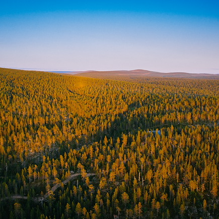 Randonnée Finlande Laponie finlandaise