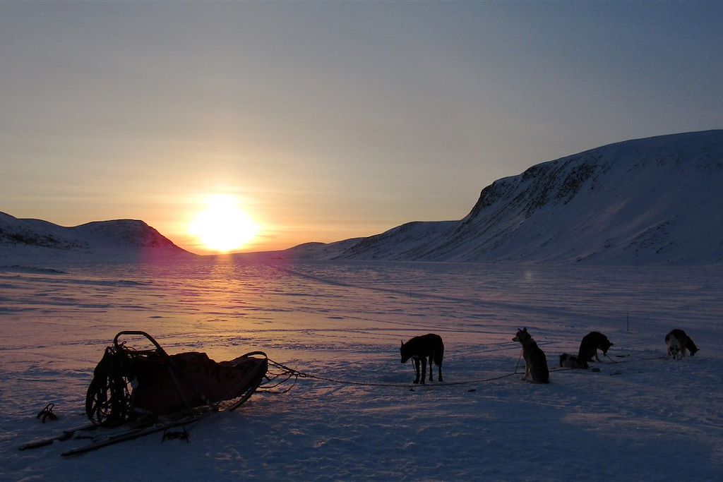 Image Voyage Laponie - Aurores boréales Finlande - Randonnée chien de traineau