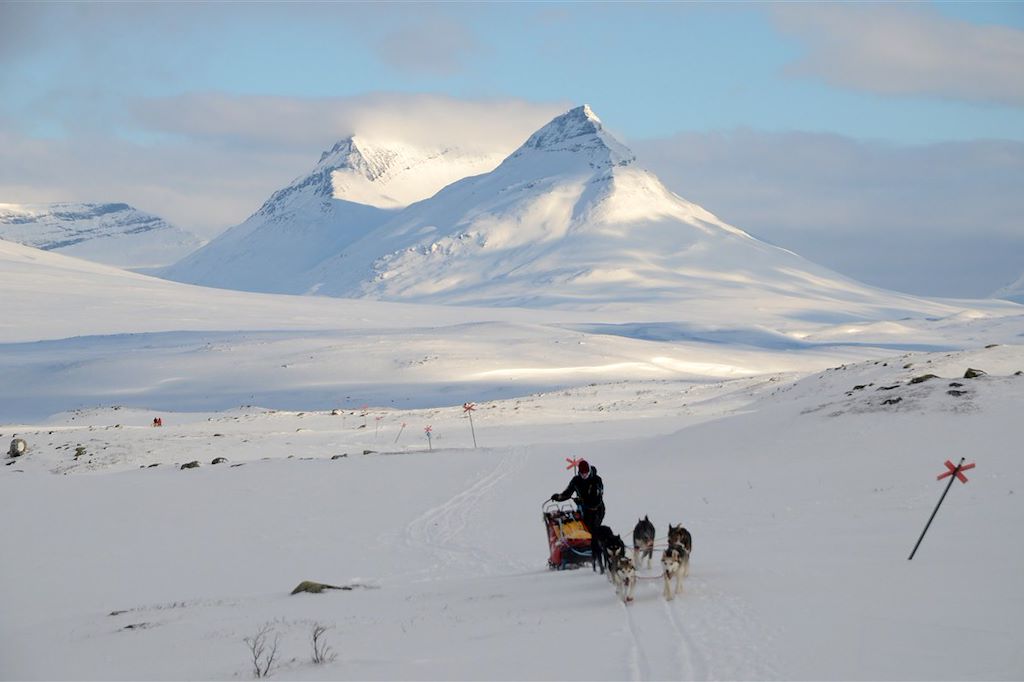 Image Voyage Laponie - Aurores boréales Finlande - Randonnée chien de traineau