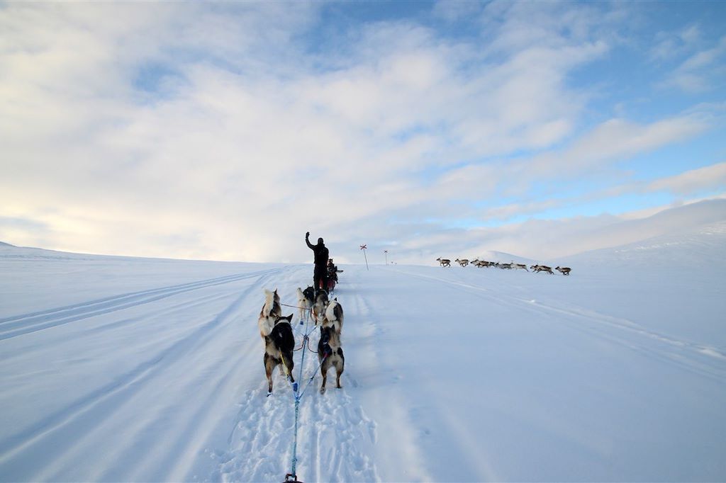 Image Voyage Laponie - Aurores boréales Finlande - Randonnée chien de traineau