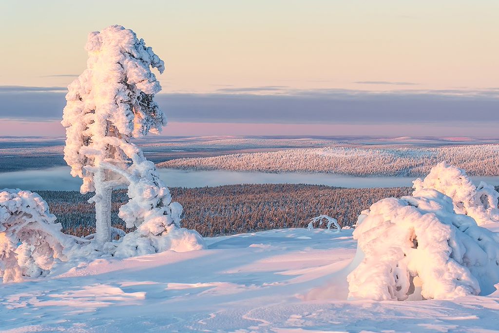 Image Voyage Laponie - Aurores boréales Finlande - Randonnée chien de traineau
