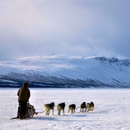 Traîneau à chiens Finlande