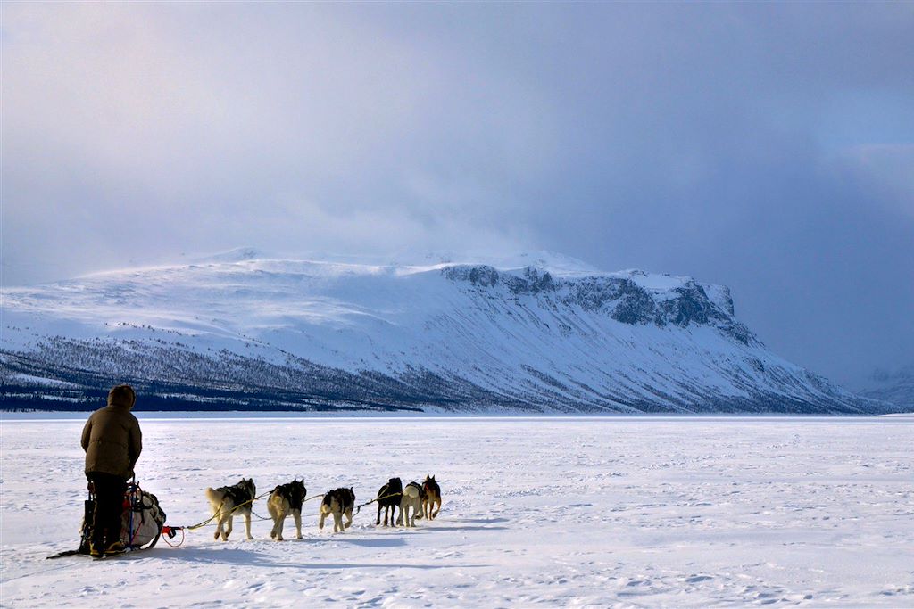 Traîneau à chiens Finlande