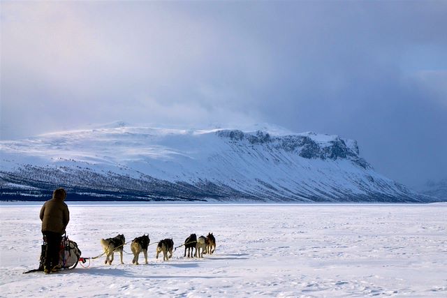 Traîneau à chiens Finlande