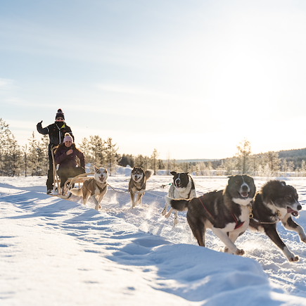Multi-activités Finlande Laponie finlandaise