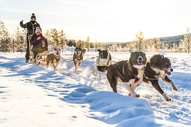 Multi-activités Finlande Laponie finlandaise