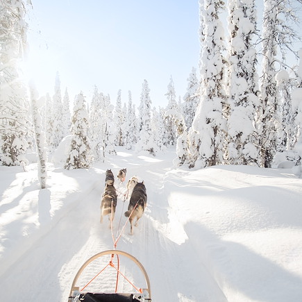Multi-activités Finlande Laponie finlandaise