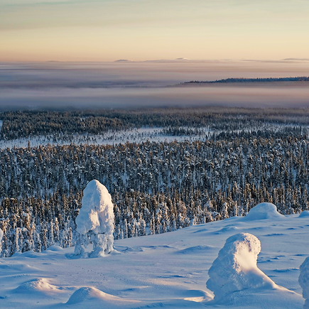 Multi-activités Finlande Laponie finlandaise