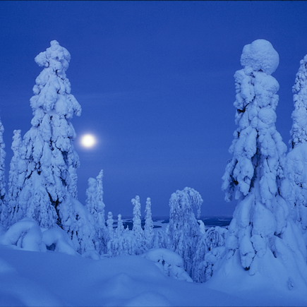Multi-activités Finlande Laponie finlandaise