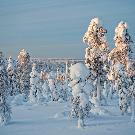 Ski de fond Finlande Laponie finlandaise