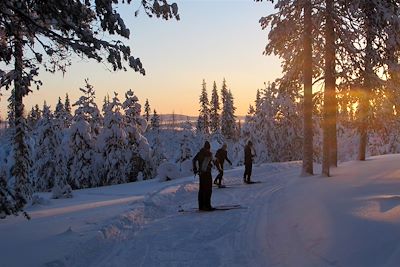 Voyage Laponie finlandaise