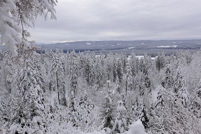 Neige dans le Jura - France