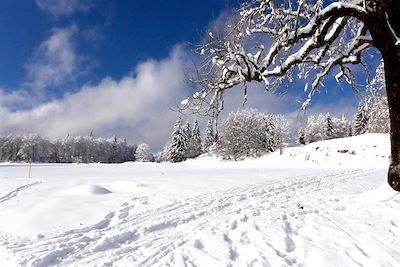 Neige dans le Jura - France