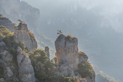 Voyage Massif Central