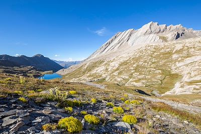 Voyage Alpes du Sud