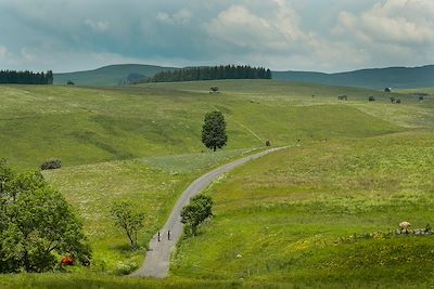 Voyage Massif Central
