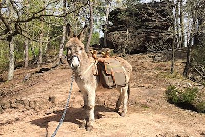 Voyage Autres régions (France)