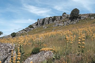 Voyage Massif Central