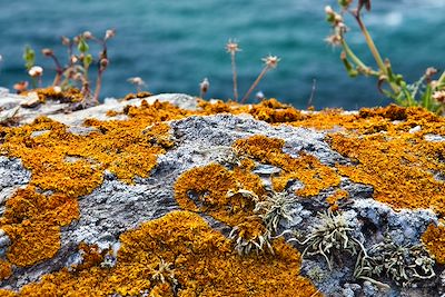 Belle Ile en Mer - France