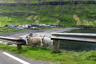 © Visit Faroe Islands - Iles Féroé Iles Féroé