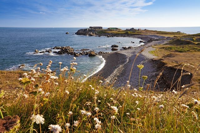 Découverte Angleterre Iles Anglo-normandes