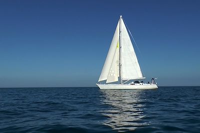 Les îles Anglo-Normandes à la voile