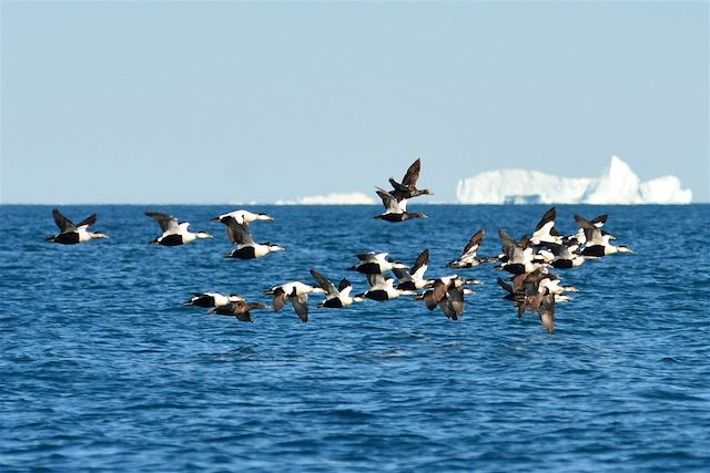 Voyage La côte ouest à bord du bateau côtier 