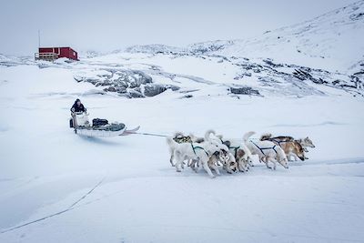Traîneau à chiens - Village d’Oqaatsut - Nord du Groenland