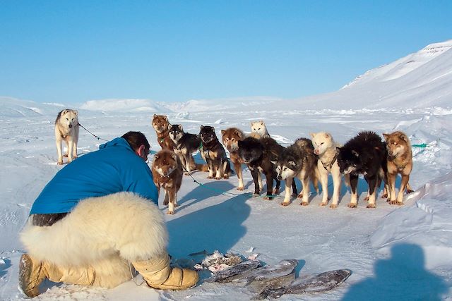 Iceberg : Traîneau à chiens en baie de Disko Voyage Traîneau à chiens en baie de Disko