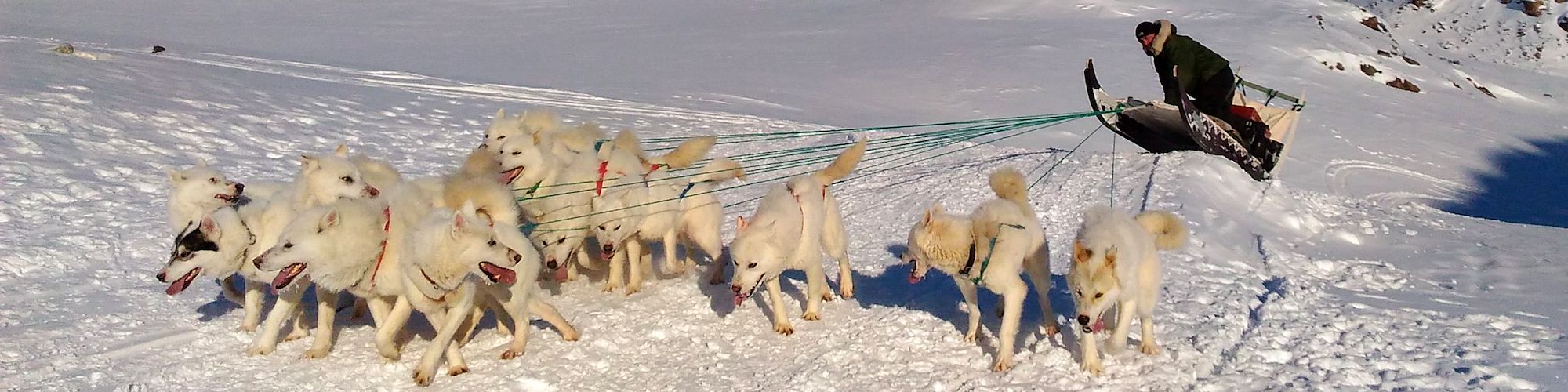 Traîneau à chiens