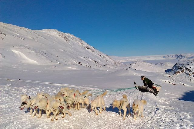 Randonnée : Calotte polaire en vue, traîneau sur la banquise Voyage Calotte polaire en vue, traîneau sur la banquise