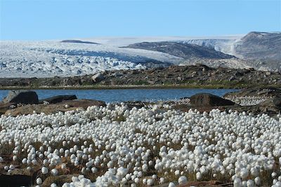 Voyage Aventure authentique : de Nuuk au Groenland sud 1