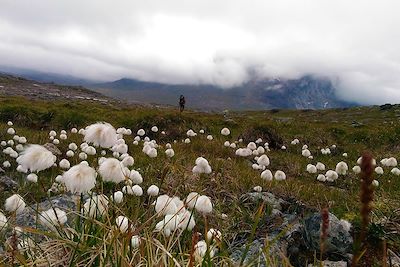 © Irina Baranova - Région de Nuuk - Groenland Région de Nuuk - Groenland