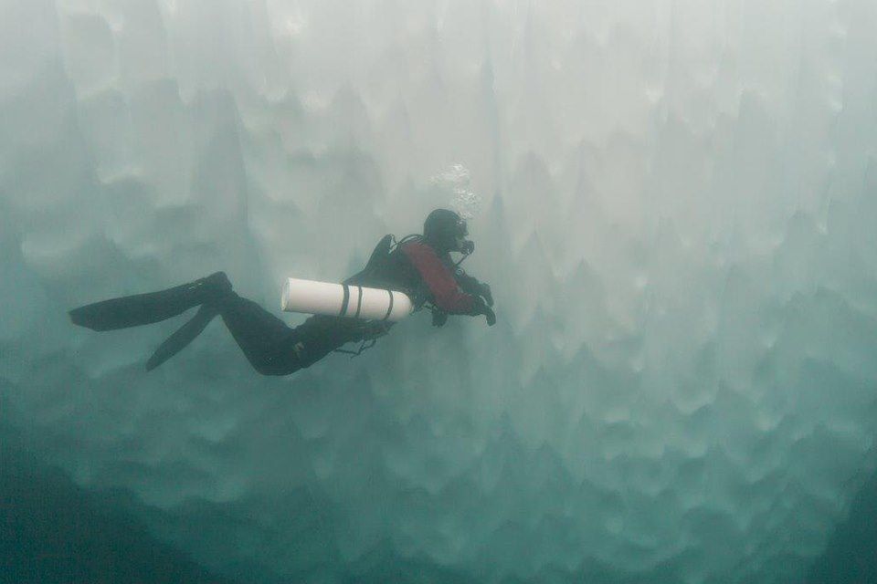 Voyage Plongée sous les glaces du fjord Sermilik 1