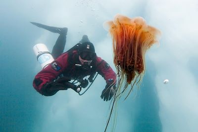 Voyage Plongée sous les glaces du fjord Sermilik 3