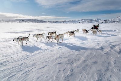 En traîneau à chiens avec les Inuit