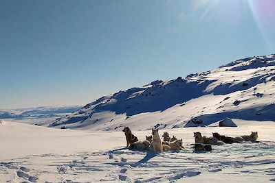 Traîneau à chiens - Baie de Disko en hiver - Groenland