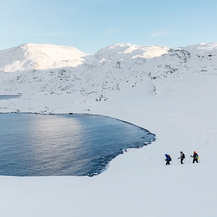 Aurores boréales Groenland