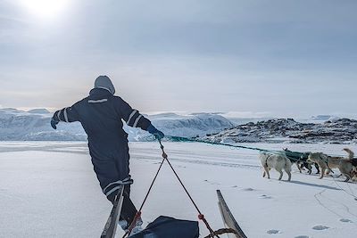 Musher avec ses chiens - Uummannaq - Groenland