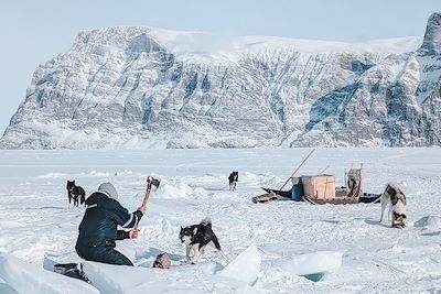Un musher se prépare à pêcher dans la glace -  Uummannaq - Groenland