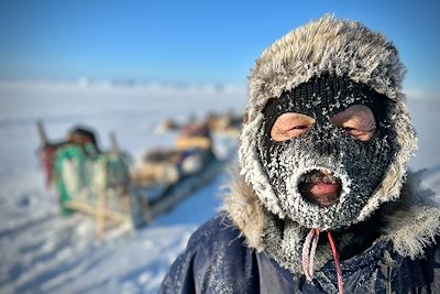 Musher - Groenland