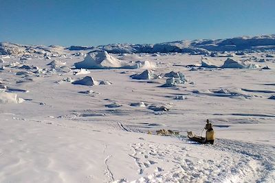 Traîneau à chiens - Baie de Disko en hiver - Groenland