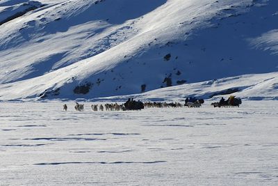 Expédition en traineau à chiens au coeur des Fjords de Sermiligaq - Groenland