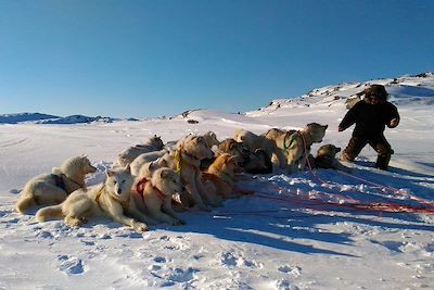 Traîneau à chiens - Baie de Disko en hiver - Groenland
