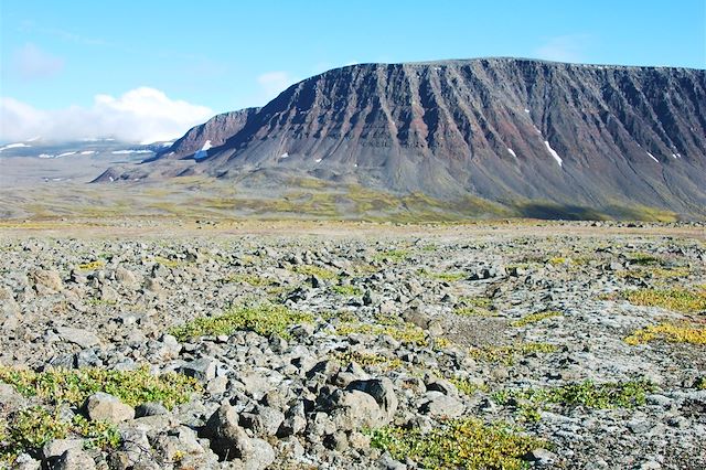 Voyage Baie de Disko : d'Ilulissat à l'île de Disko