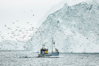 Baie de Disko - Groenland